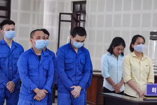 Các đối tượng tại toà