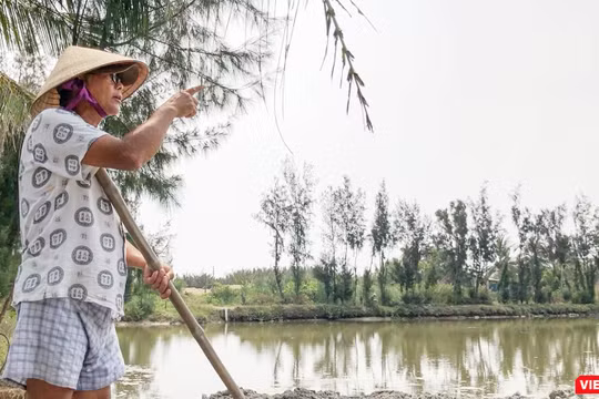 Ông Nguyễn Tiền, trú thôn Vạn Lăng, xã Cẩm Thanh, TP Hội An chưa thoả đáng với số tiền đền bù và chuyển đổi nghề nghiệp khi bị thu hồi hơn 6.000m2 diện tích nuôi trồng thỉu sản