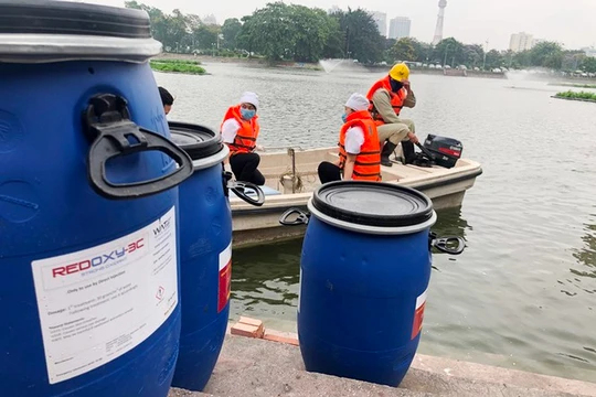 Công ty Arktic nhập chế phẩm Redoxy-3C từ Đức với giá bao nhiêu?