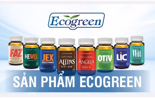 Eco Pharma - nhà phân phối độc quyền sâm Alipas Platinum, sâm Angela Gold: Doanh thu nghìn tỷ, lợi nhuận mỏng tang...