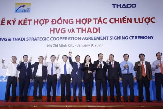 Thadi đã chính thức hiện diện ở HVG.