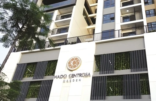 Ảnh minh họa (Nguồn: Internet)