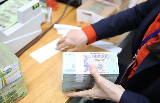 Trong năm nay và năm sau, tỷ trọng nắm giữ của Nhà nước sẽ giữ nguyên 65%. Ảnh minh họa: Thành Hoa