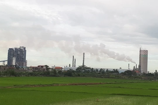 Đạm Ninh Bình lỗ đậm 5.000 tỷ, chết dở với đối tác Trung Quốc 