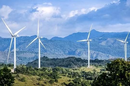 Agribank 'siết nợ' chủ đầu tư dự án điện gió đầu tiên tại Việt Nam