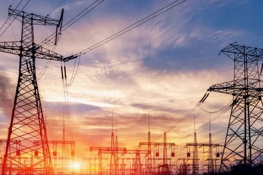 Malblue rời ghế cổ đông lớn Vneco sau chuỗi giảm sàn 8 phiên liên tiếp của cổ phiếu VNE