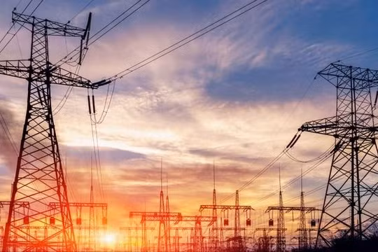 Malblue rời ghế cổ đông lớn Vneco sau chuỗi giảm sàn 8 phiên liên tiếp của cổ phiếu VNE