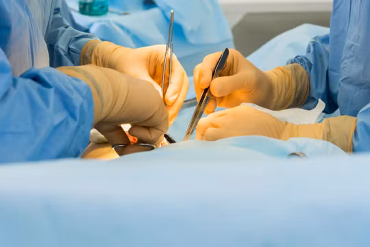 Ảnh minh họa: Sputnik