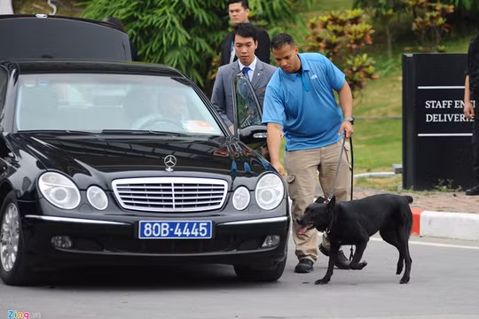 Chó nghiệp vụ Mỹ đánh hơi, phát hiện những thiết bị khả nghi đảm bải an ninh cho phái đoàn quan chức cao cấp của Hoa Kỳ tại Hà Nội.