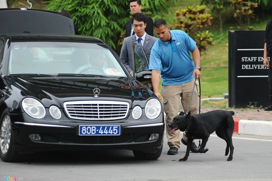 Chó nghiệp vụ Mỹ đánh hơi, phát hiện những thiết bị khả nghi đảm bải an ninh cho phái đoàn quan chức cao cấp của Hoa Kỳ tại Hà Nội.