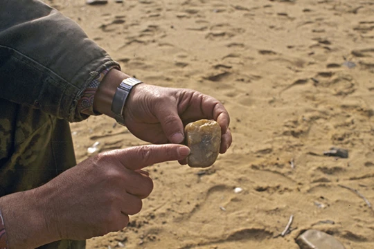 Báo Nga: Chuyên gia khảo cổ Siberia có khám phá chấn động tại Việt Nam