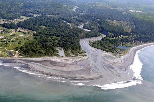 Dòng Elwha đang hồi sinh sau quyết định tháo dỡ đập thủy điện được xây dọc sông này. Ảnh National Geographics. 