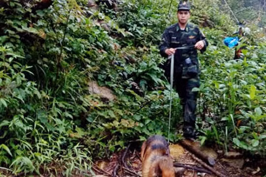 Chó nghiệp vụ đã phát hiện thi thể Aiden Shaw Webb dưới khe núi.