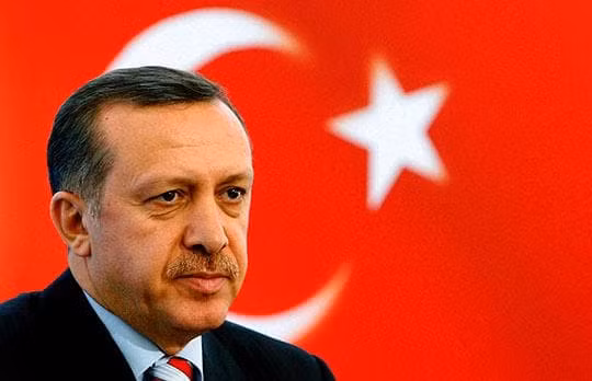 Erdogan hứa hỗ trợ Ukraine trong kỳ vọng đòi lại chủ quyền về Crimea.