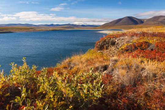 Dân Viễn Đông, Nga nộp hơn một ngàn đơn xin “Héc ta đất miễn phí”