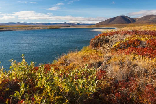 Dân Viễn Đông, Nga nộp hơn một ngàn đơn xin “Héc ta đất miễn phí”