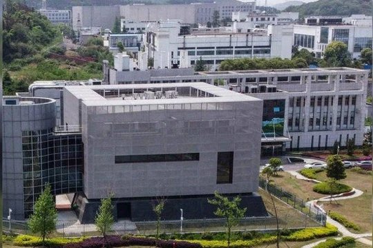 Viện nghiên cứu Virus Vũ Hán, nơi bị hai nhjaf khoa học Mỹ nghi ngờ tạo ra SARS-CoV-2 trong phòng thí nghiệm (Ảnh: ibtimes).