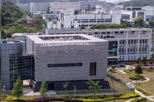 Viện nghiên cứu Virus Vũ Hán, nơi bị hai nhjaf khoa học Mỹ nghi ngờ tạo ra SARS-CoV-2 trong phòng thí nghiệm (Ảnh: ibtimes).