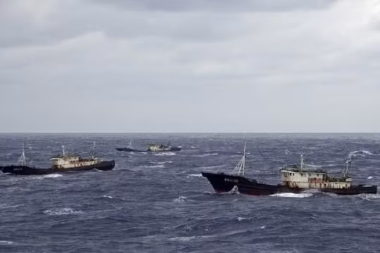 Trung Quốc tổ chức các đội tàu đánh bắt viễn dương (Ảnh: Dongfang).