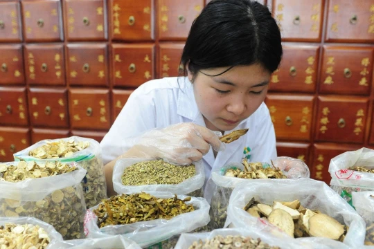 Truy xuất nguồn gốc dược liệu, bài toán nan giải đối với cơ quan quản lý