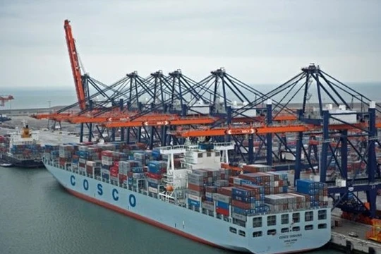 Thủy thủ đoàn trên các con tàu của Tập đoàn vận tải biển COSCO liên tục bị nhân viên các cơ quan thực thi pháp luật Mỹ kiểm tra nhân thân đảng viên (Ảnh: Dongfang).