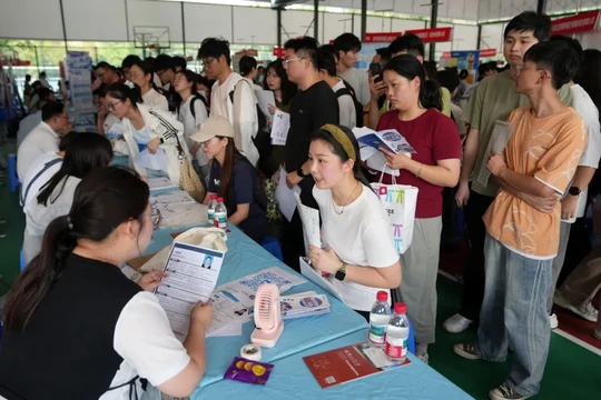 Hiện nay cơ hội việc làm cho các sinh viên tốt nghiệp ngành Máy tính vốn rất "hot" đã trở nên khó khăn không ngờ. Ảnh: Xinhua.