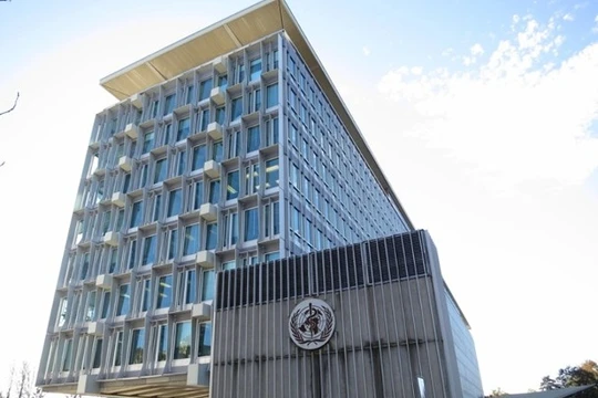 Người phát ngôn WHO cho rằng hiện tượng bệnh nhân đã khỏi bị tái dương tính với SARS-CoV-2 là do các tế bào chết bị thải loại khỏi phổi...(Ảnh: DF).