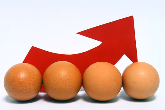 Giá trứng gia cầm ở Nhật đang tăng mạnh đã gần sát mức giá kỷ lục năm 2023. Ảnh: CLS.