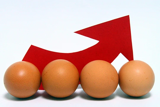 Giá trứng gia cầm ở Nhật đang tăng mạnh đã gần sát mức giá kỷ lục năm 2023. Ảnh: CLS.