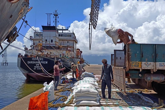 Ấn Độ đang xem xét giảm 80% lượng gạo xuất khẩu để chống lạm phát trong nước (Ảnh: Reuters)