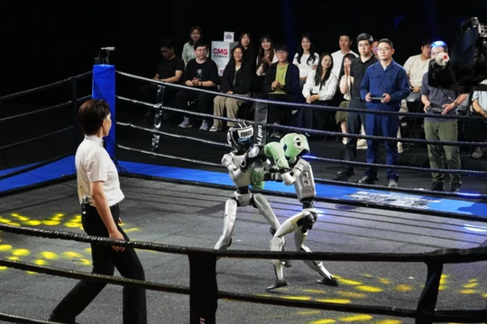 Các võ sĩ robot thi đấu quyết liệt trên võ đài. Ảnh: STCN.