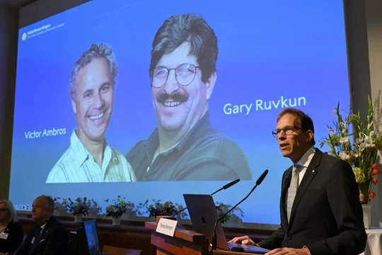 Ủy ban Giải thưởng Nobel công bố danh tính hai nhà khoa học được trao giải Nobel Y sinh 2024 (Ảnh: NetEasy)