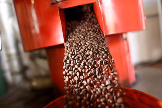 Giá cà phê hạt Robusta hiện ở mức cao nhất kể từ năm 2008 (Ảnh: Getty)