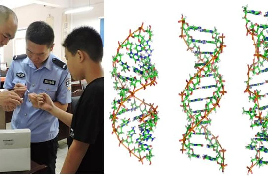 Việc Trung Quốc thu thập và lập Ngân hàng gene nam giới đang gây rúng động (Ảnh: adhrrf.org).