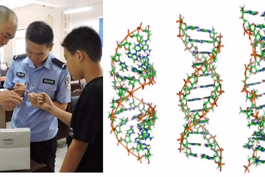 Việc Trung Quốc thu thập và lập Ngân hàng gene nam giới đang gây rúng động (Ảnh: adhrrf.org).