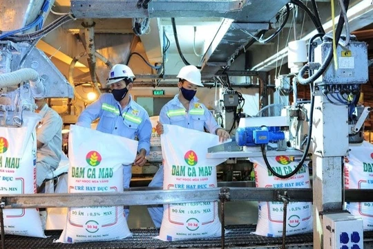 Điểm mặt những “ông trùm” xuất khẩu phân bón Việt Nam (Ảnh: Đạm Cà Mau)