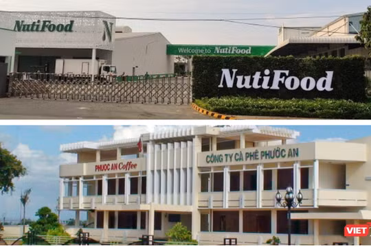 Nutifood thoái sạch vốn tại Cà phê Phước An