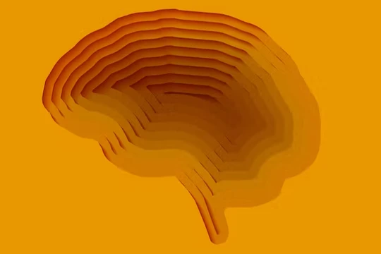 Không thể hiểu được AI