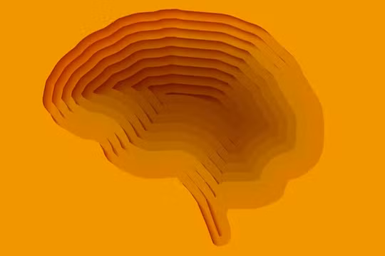 Không thể hiểu được AI