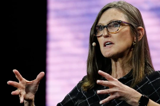 Bất chấp thị trường đầy biến động, Cathie Wood vẫn huy động thành công hơn 16 triệu USD cho quỹ mới (Ảnh: Getty Images)