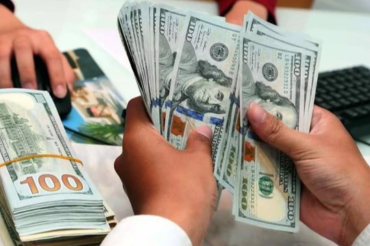 MBS: NHNN mua thêm 3,5 tỉ USD trong 2 tháng đầu năm 2023