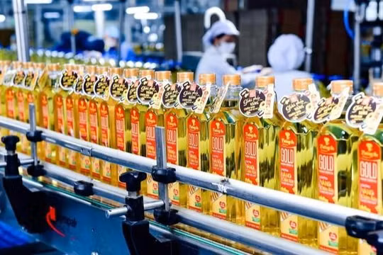 Một doanh nghiệp thực phẩm sắp chi nghìn tỉ đồng chia cổ tức