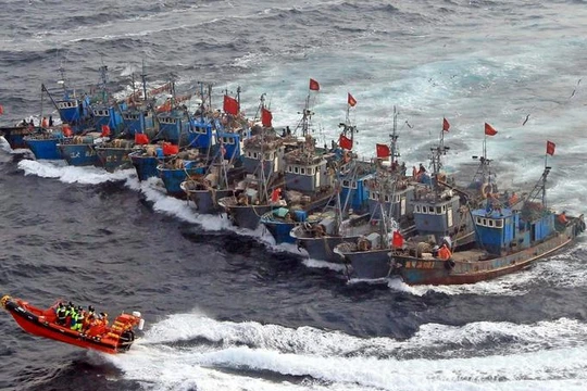 Cảnh sát biển Hàn Quốc kiên quyết tấn công hành vi đánh bắt phi pháp và chống trả bạo lực của tàu cá Trung Quốc. Ảnh: Guancha.