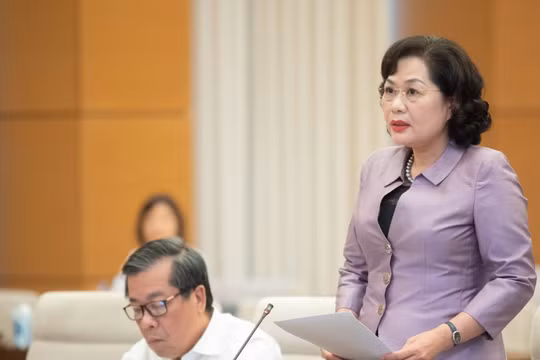 Đề xuất Ngân hàng Nhà nước có quyền điều tra vi phạm pháp luật về ngân hàng