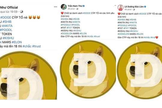 Bài đăng của các nghệ sĩ có nội dung giống nhau.