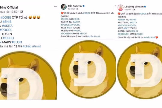 Bài đăng của các nghệ sĩ có nội dung giống nhau.