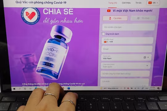 Giao diện website được đánh giá trực quan, dễ thao tác.