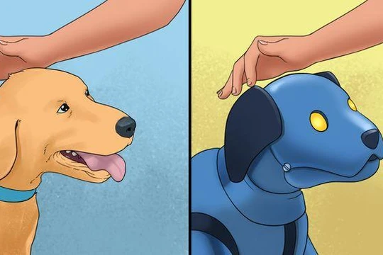 Ảnh minh họa: BrightSide