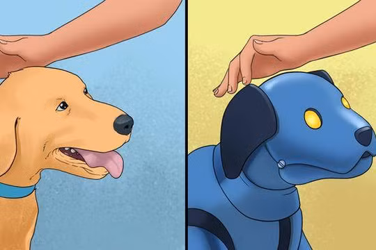 Ảnh minh họa: BrightSide