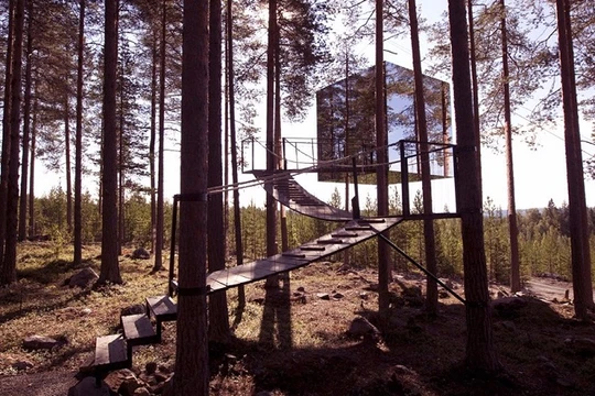 Mẫu nhà trên cây độc đáo (Ảnh: Business Insider)